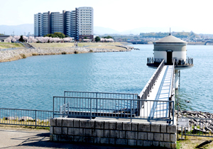 狭山池の四季